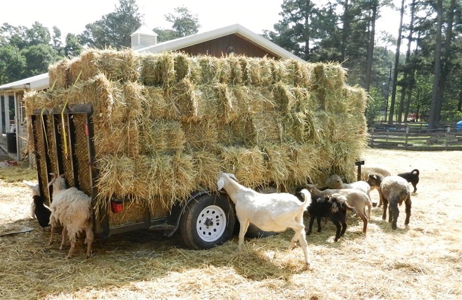 Πρώτες αποζημιώσεις αλλά όχι επιδοτήσεις